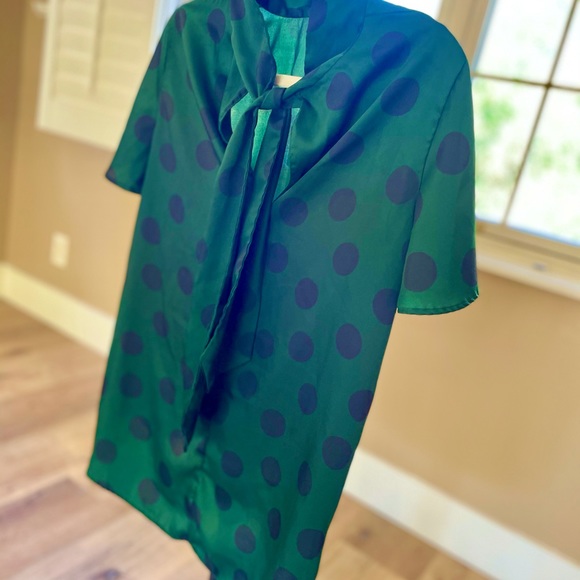 Zara Silk Polka Dot with Bow Necktie Blouse - Picture 6 of 8